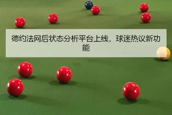 德约法网后状态分析平台上线，球迷热议新功能